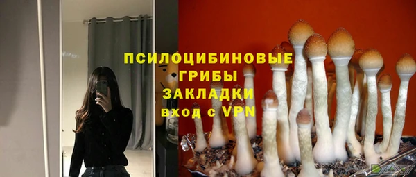 кокаин премиум Козельск