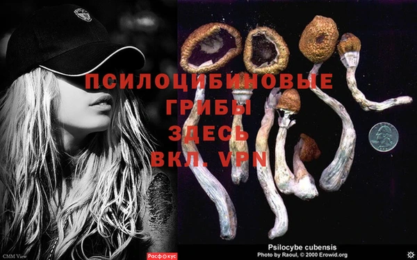 герыч Кодинск