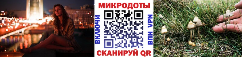 Купить где  Усолье-Сибирское  Галлюциногенные грибы Cubensis 
